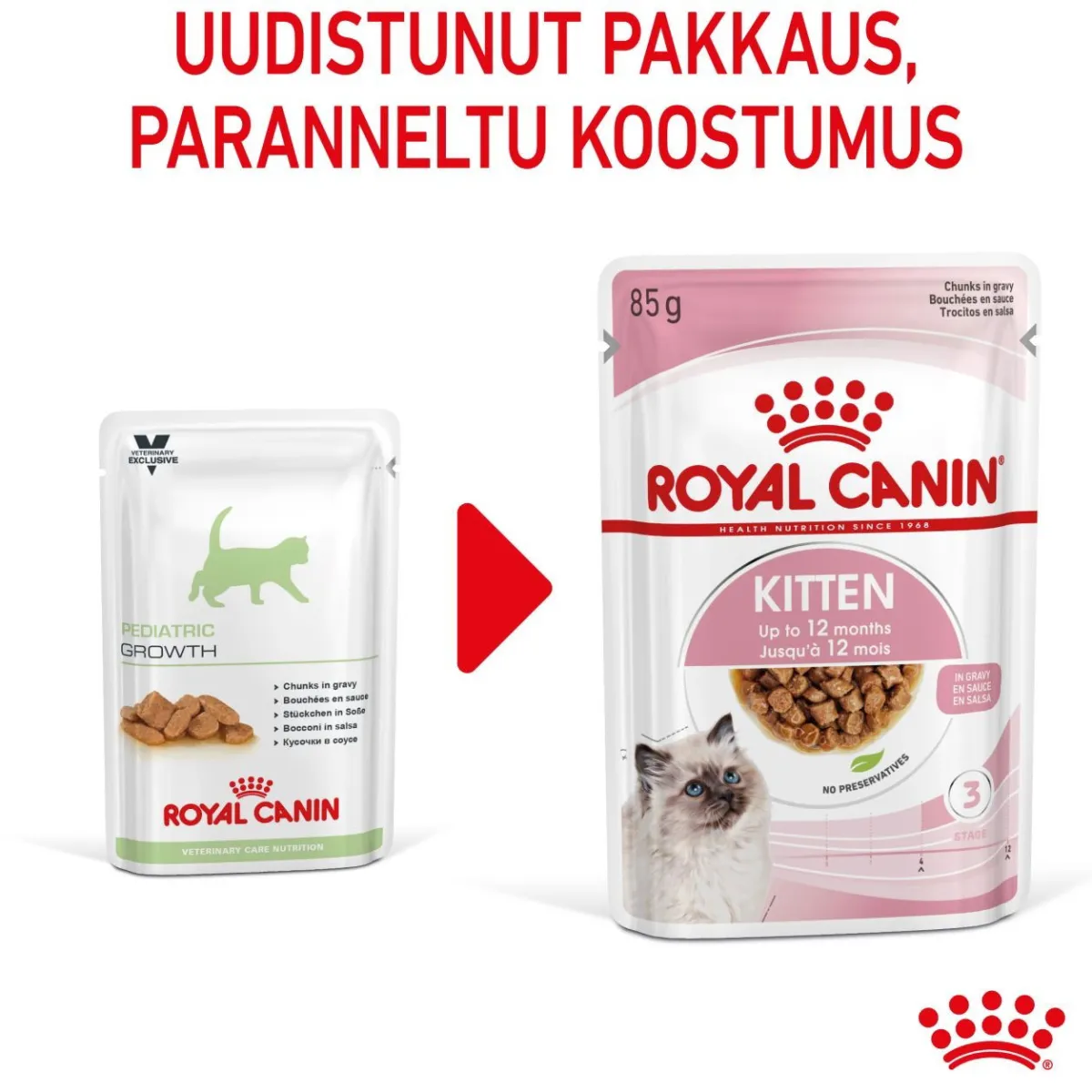 Royal Canin Kissan Märkäruoka*Kitten Gravy 85g, 48-pack