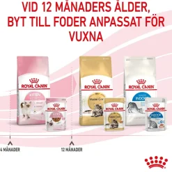 Royal Canin Kissan Märkäruoka*Kitten Gravy 85g, 48-pack