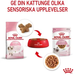 Royal Canin Kissan Märkäruoka*Kitten Gravy 85g, 48-pack