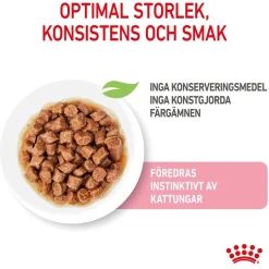 Royal Canin Kissan Märkäruoka*Kitten Gravy 85g, 48-pack