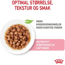 Royal Canin Kissan Märkäruoka*Kitten Gravy 85g, 48-pack