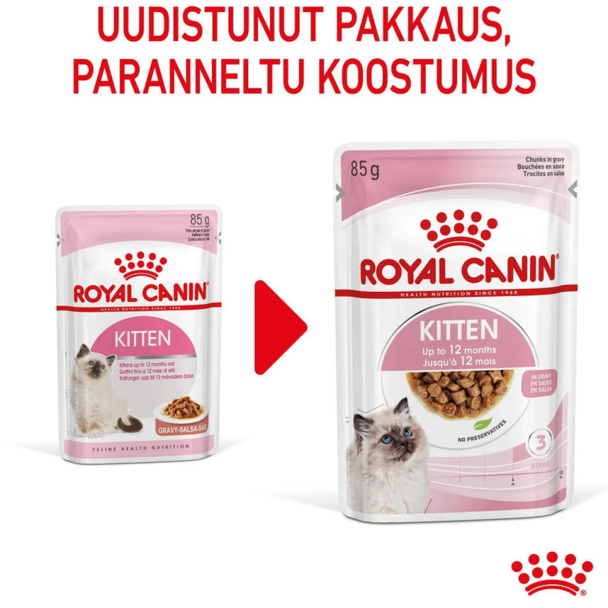 Royal Canin Kissan Märkäruoka*Kitten Gravy 85g, 48-pack