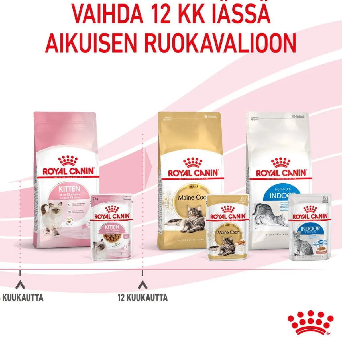 Royal Canin Kissan Märkäruoka*Kitten Gravy 85g, 48-pack
