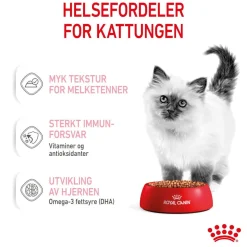 Royal Canin Kissan Märkäruoka*Kitten Gravy 85g, 48-pack