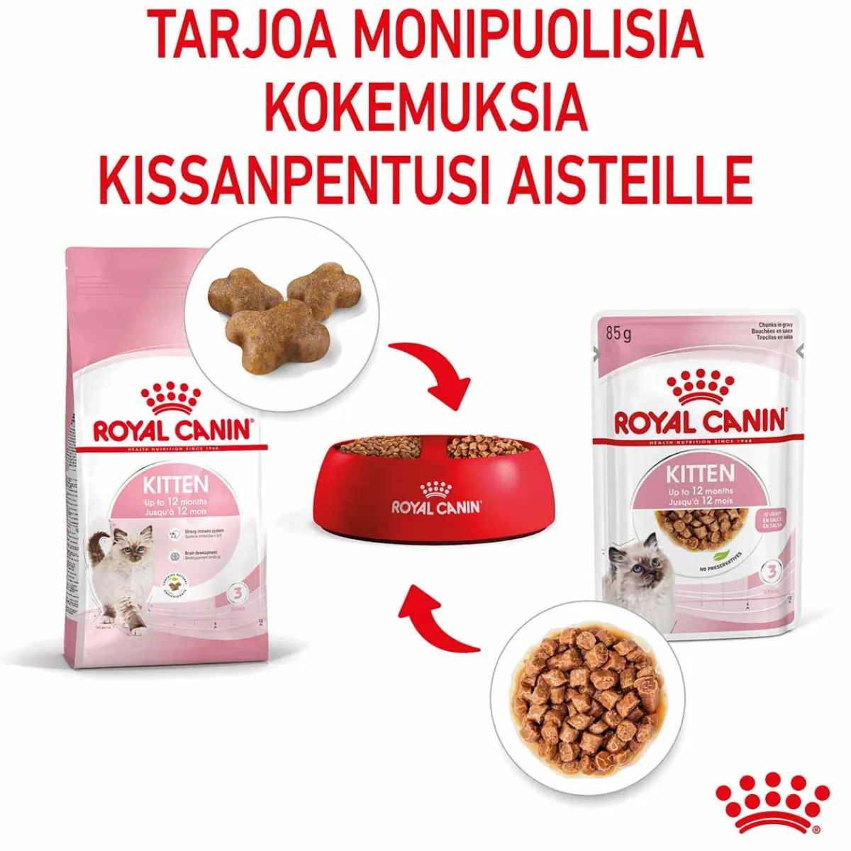 Royal Canin Kissan Märkäruoka|Kissanpennun Ruoka*Kitten Gravy, 12x85g