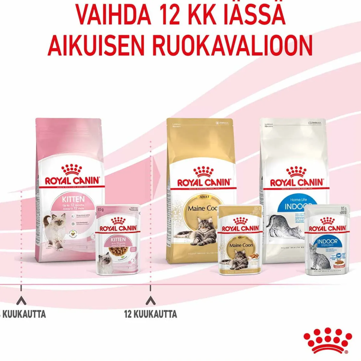 Royal Canin Kissan Märkäruoka|Kissanpennun Ruoka*Kitten Gravy, 12x85g