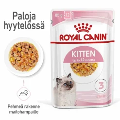 Royal Canin Kissan Märkäruoka|Kissanpennun Ruoka*Kitten Jelly, 12x85g