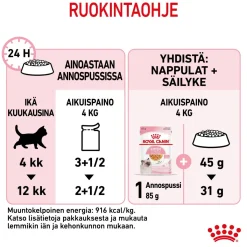 Royal Canin Kissan Märkäruoka|Kissanpennun Ruoka*Kitten Jelly, 12x85g