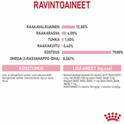 Royal Canin Kissan Märkäruoka|Kissanpennun Ruoka*Kitten Jelly, 12x85g
