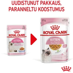 Royal Canin Kissan Märkäruoka|Kissanpennun Ruoka*Kitten Jelly, 12x85g