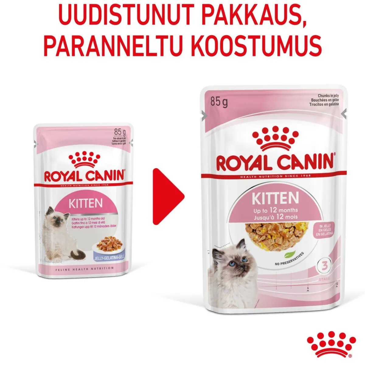 Royal Canin Kissan Märkäruoka|Kissanpennun Ruoka*Kitten Jelly, 12x85g