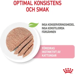 Royal Canin Kissan Märkäruoka*Kitten Loaf 85g, 48-pack