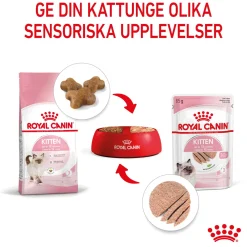 Royal Canin Kissan Märkäruoka*Kitten Loaf 85g, 48-pack