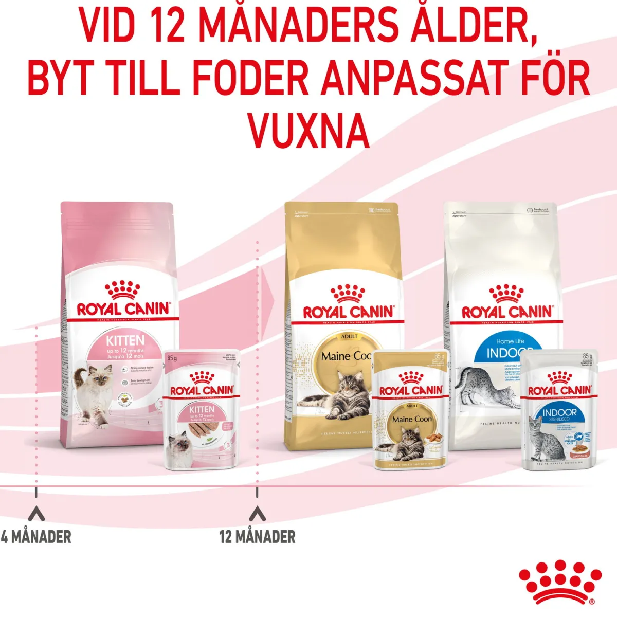 Royal Canin Kissan Märkäruoka*Kitten Loaf 85g, 48-pack