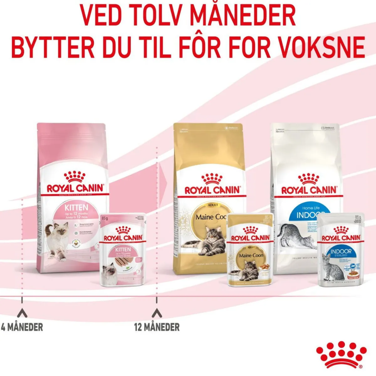 Royal Canin Kissan Märkäruoka*Kitten Loaf 85g, 48-pack