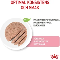 Royal Canin Kissan Märkäruoka*Kitten Loaf 85g, 48-pack