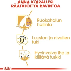 Royal Canin Koiranruoat Erityistapeisiin|Koiran Kuivaruoka*Labrador Retriever Sterilised 12 kg