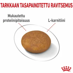 Royal Canin Koiranruoat Erityistapeisiin|Koiran Kuivaruoka*Light Weight Care X-Small 1,5 kg