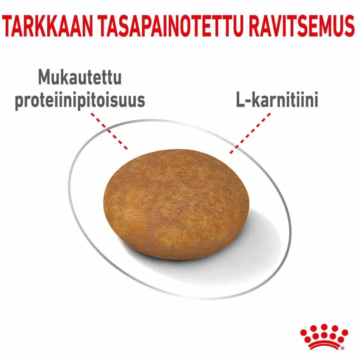 Royal Canin Koiranruoat Erityistapeisiin|Koiran Kuivaruoka*Light Weight Care X-Small 1,5 kg