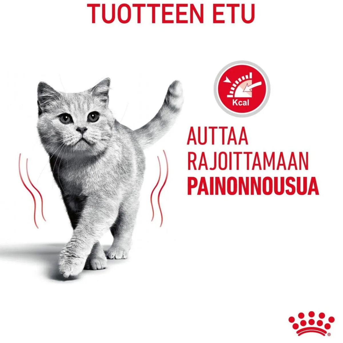 Royal Canin Kissan Märkäruoka|Vähärasvainen Kissanruoka*Light Weight Care Gravy, 12 x 85 g