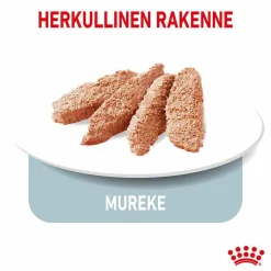 Royal Canin Koiranruoat Erityistapeisiin|Light-Koiranruoka*Light weight Care wet 12 x 85 g