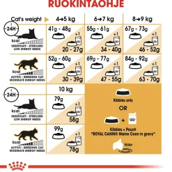 Royal Canin Tarjoukset Kissoille|Kissan Kuivaruoka*Maine Coon Adult