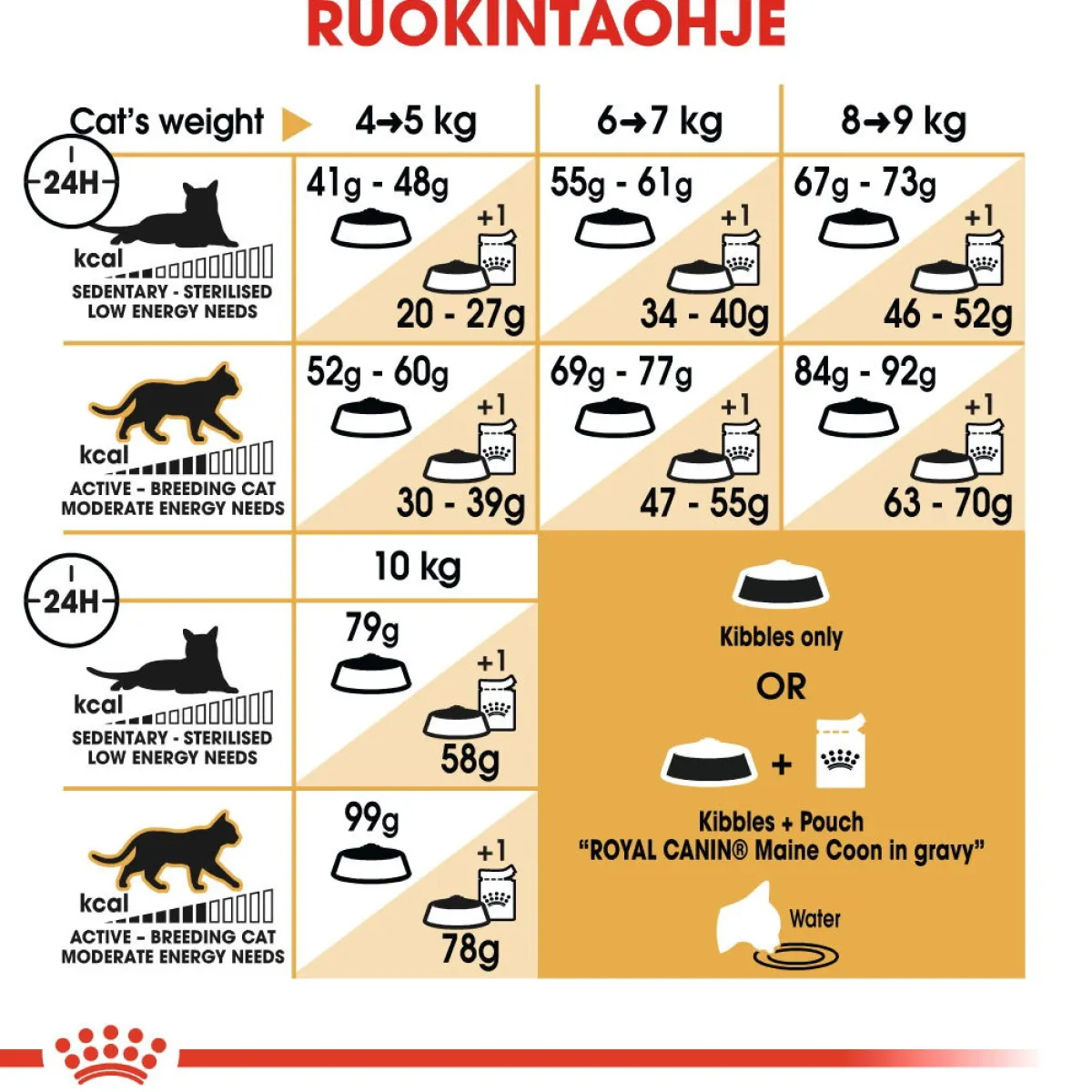 Royal Canin Tarjoukset Kissoille|Kissan Kuivaruoka*Maine Coon Adult