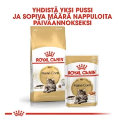 Royal Canin Tarjoukset Kissoille|Kissan Kuivaruoka*Maine Coon Adult