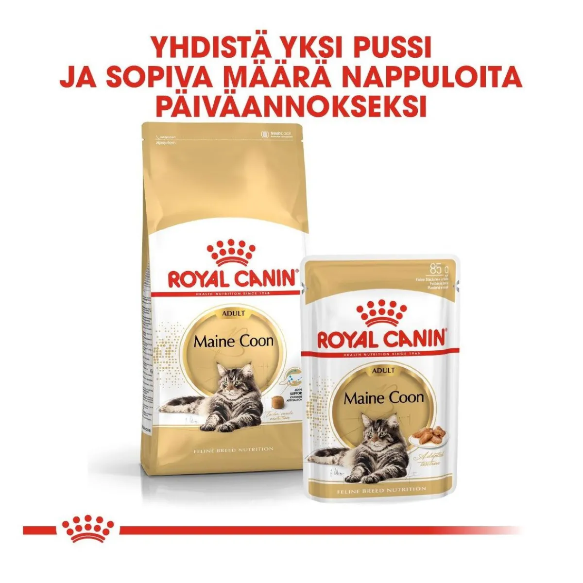 Royal Canin Tarjoukset Kissoille|Kissan Kuivaruoka*Maine Coon Adult