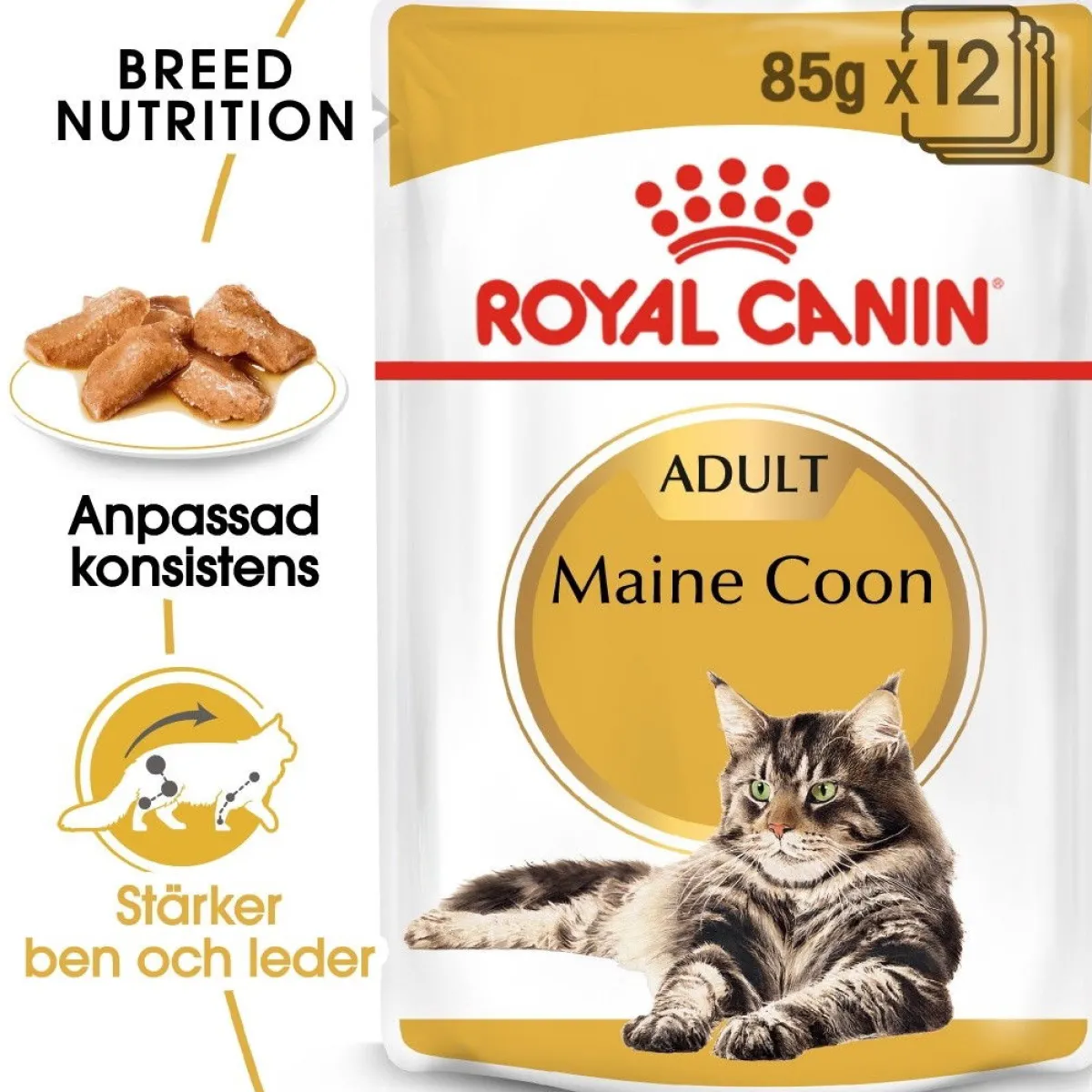 Royal Canin Kissan Märkäruoka*Maine Coon 85g, 48-pack