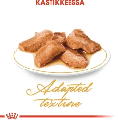 Royal Canin Kissan Märkäruoka*Maine Coon 85g, 48-pack