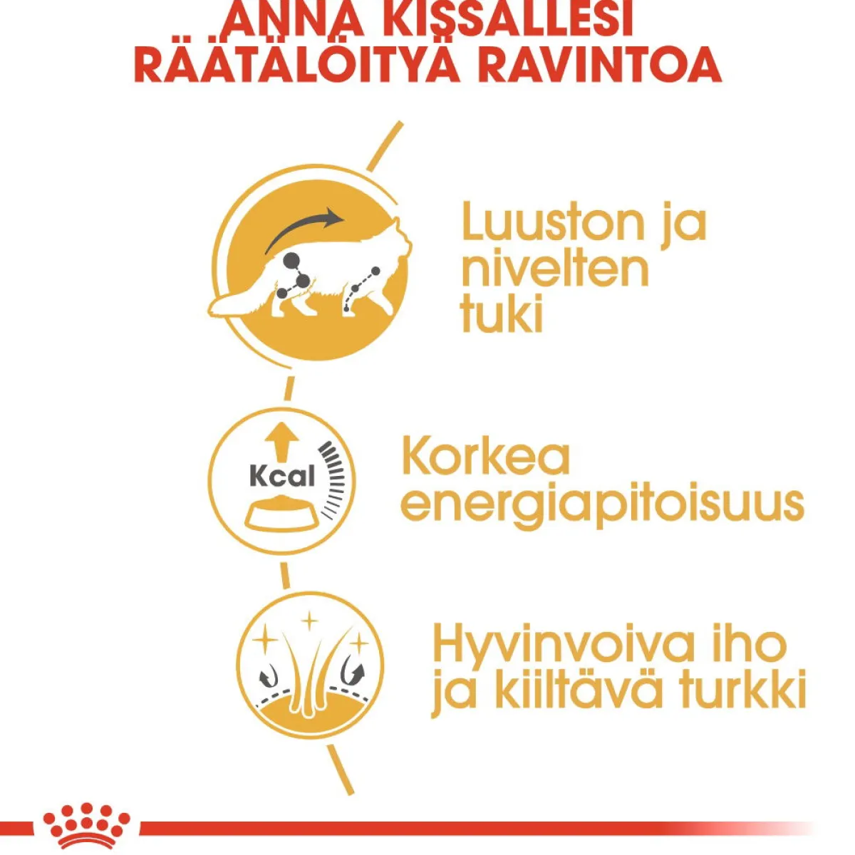 Royal Canin Kissan Märkäruoka*Maine Coon 85g, 48-pack