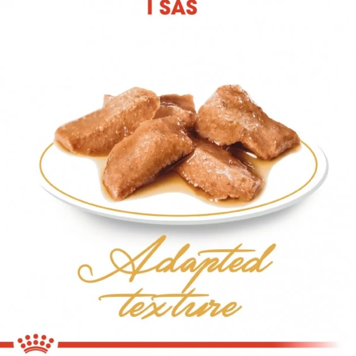 Royal Canin Kissan Märkäruoka*Maine Coon 85g, 48-pack
