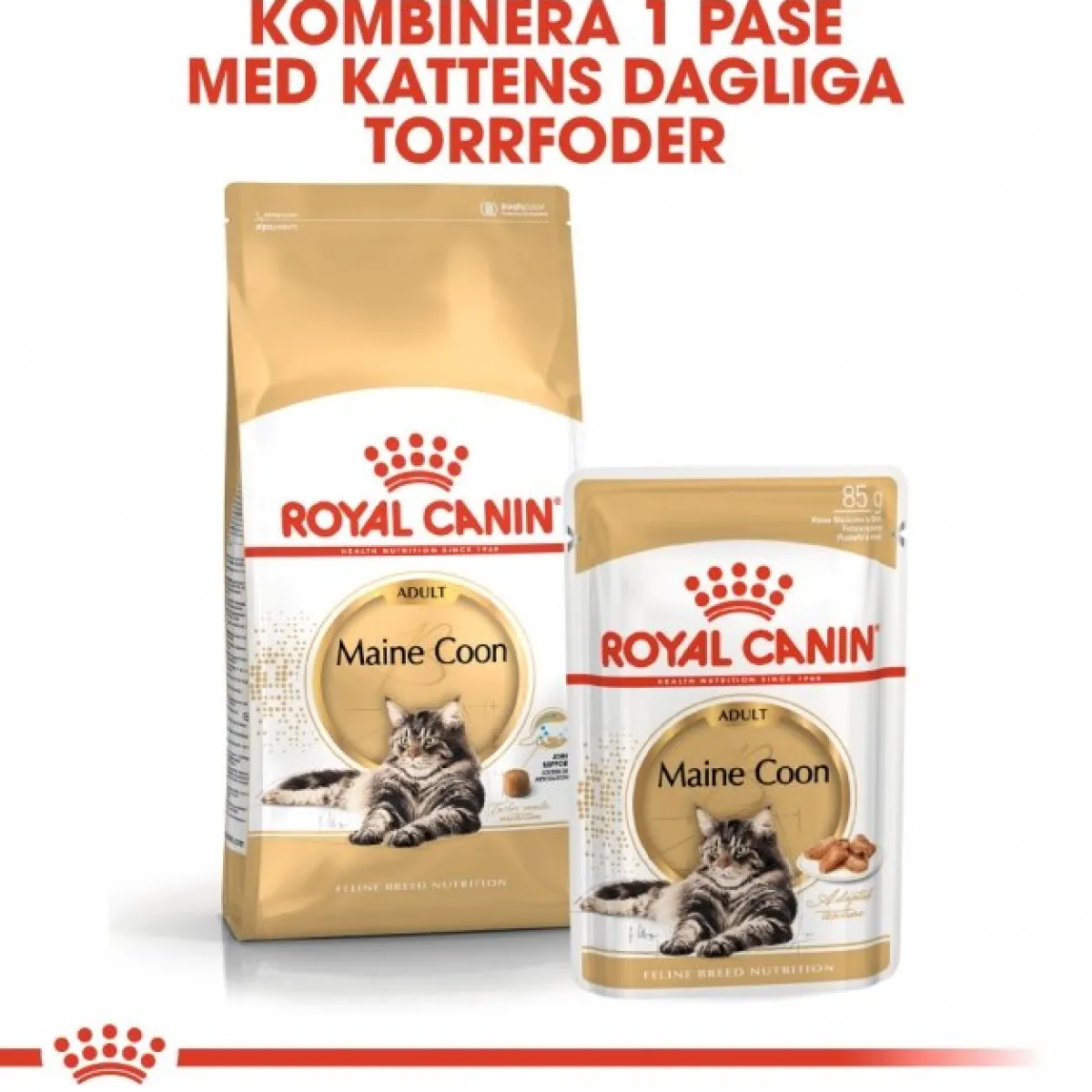 Royal Canin Kissan Märkäruoka*Maine Coon 85g, 48-pack