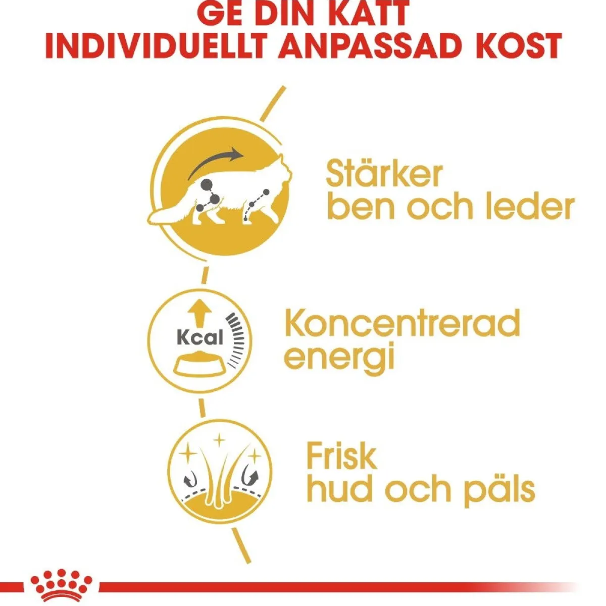Royal Canin Kissan Märkäruoka*Maine Coon 85g, 48-pack