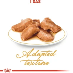 Royal Canin Kissan Märkäruoka*Maine Coon 85g, 48-pack