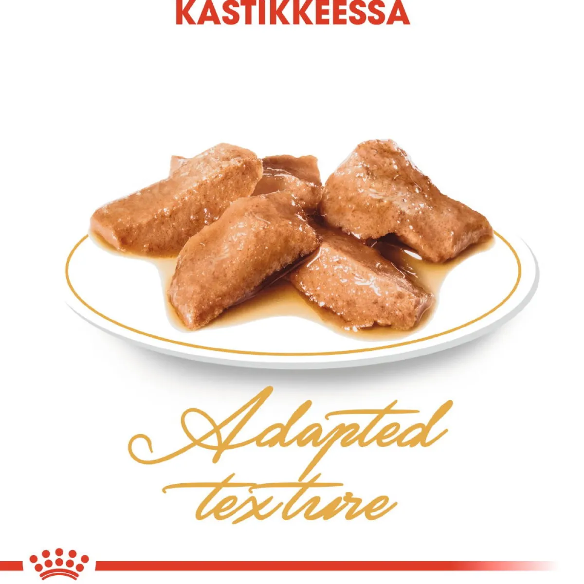 Royal Canin Kissan Märkäruoka*Maine Coon 85g, 48-pack