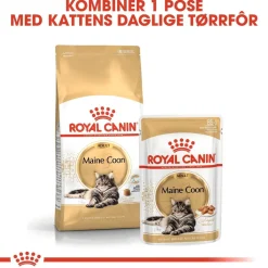 Royal Canin Kissan Märkäruoka*Maine Coon 85g, 48-pack