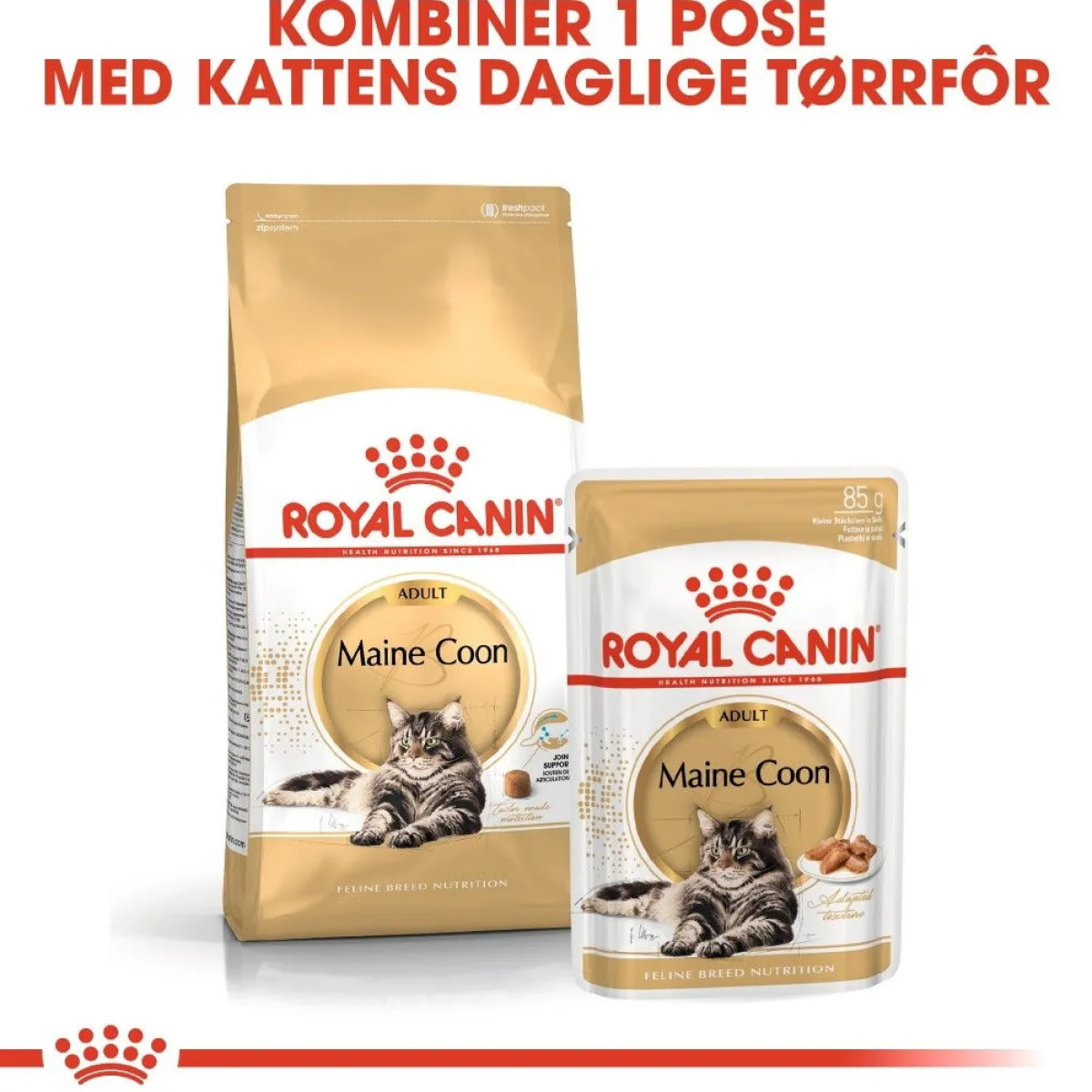 Royal Canin Kissan Märkäruoka*Maine Coon 85g, 48-pack
