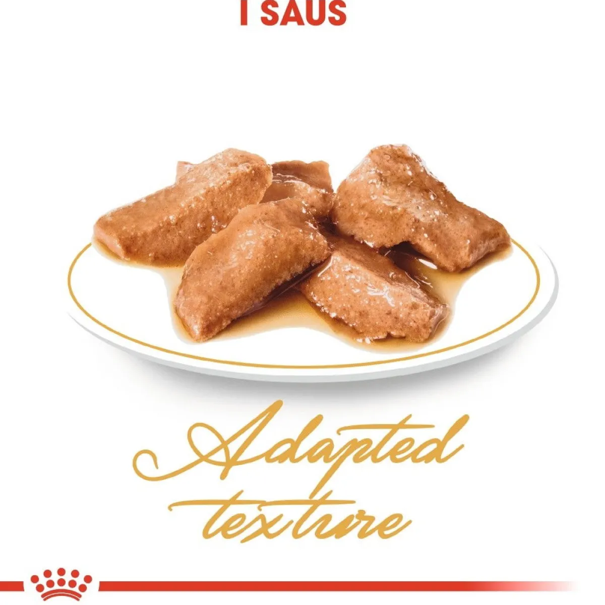 Royal Canin Kissan Märkäruoka*Maine Coon 85g, 48-pack