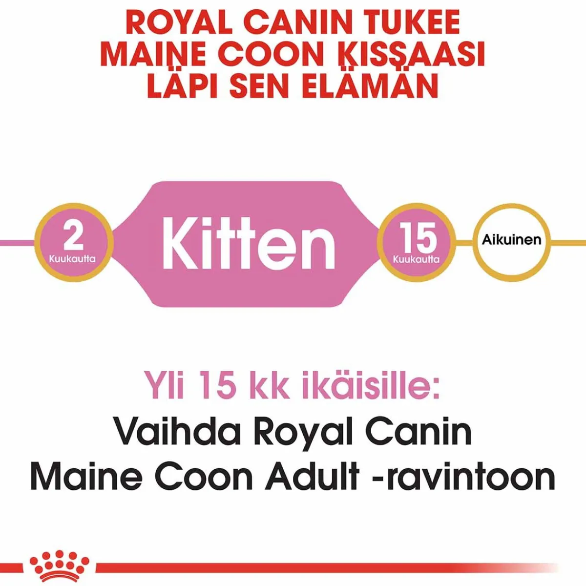 Royal Canin Kissanpennun Ruoka|Tarjoukset Kissoille*Maine Coon Kitten