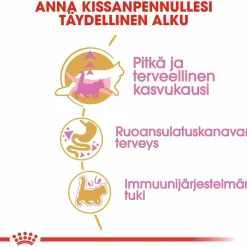 Royal Canin Kissanpennun Ruoka|Tarjoukset Kissoille*Maine Coon Kitten