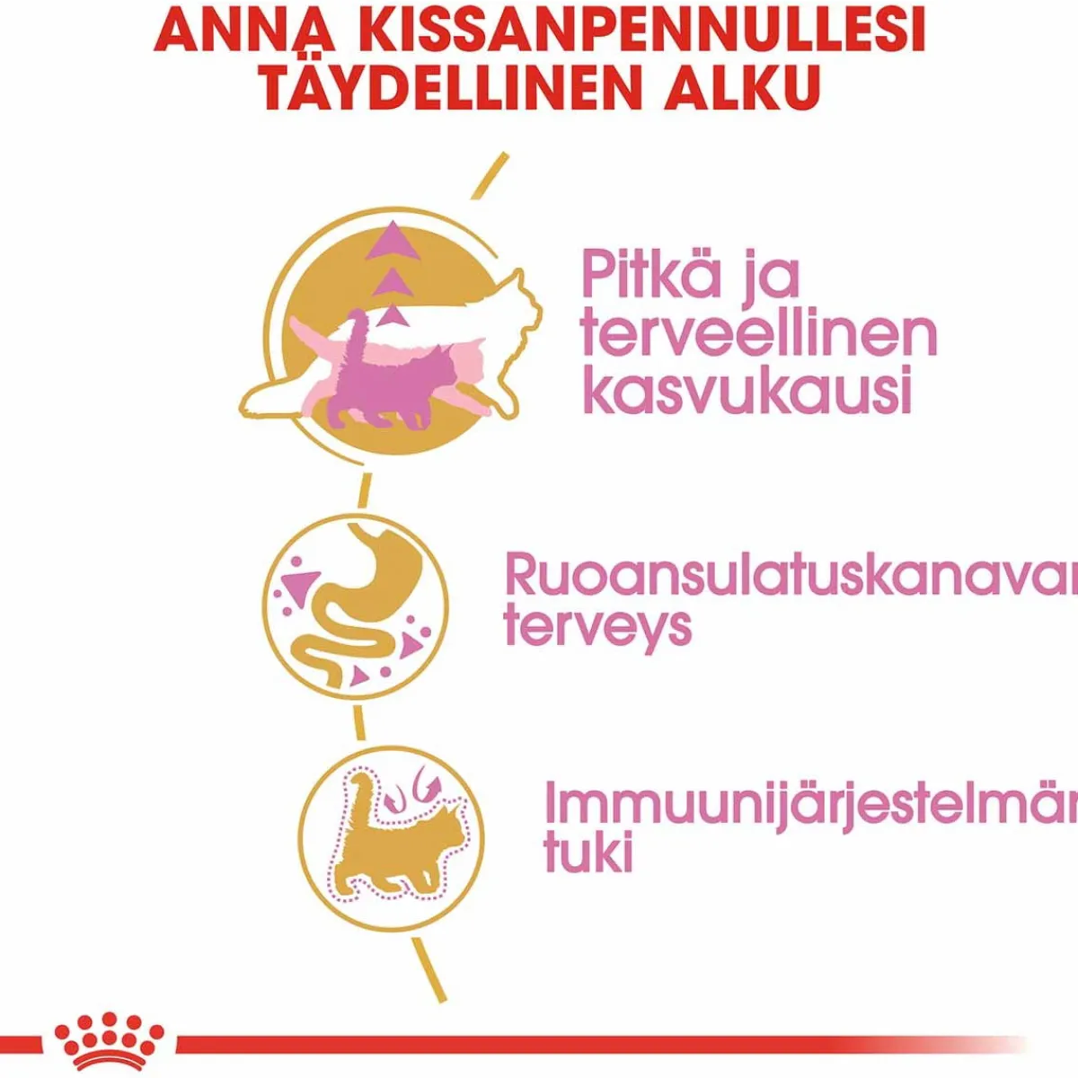 Royal Canin Kissanpennun Ruoka|Tarjoukset Kissoille*Maine Coon Kitten