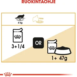 Royal Canin Kissan Märkäruoka|Tarjoukset Kissoille*Maine Coon Wet 12 x 85 g