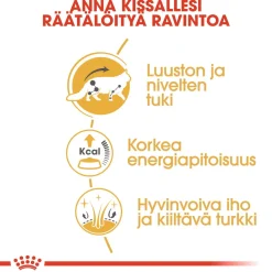 Royal Canin Kissan Märkäruoka|Tarjoukset Kissoille*Maine Coon Wet 12 x 85 g
