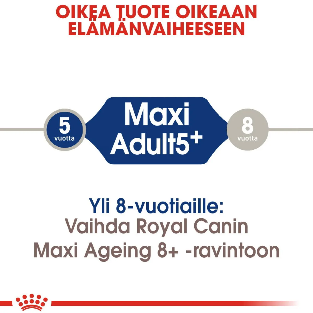 Royal Canin Koiran Kuivaruoka|Senioriruoka*Maxi Adult 5+