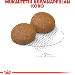 Royal Canin Koiran Kuivaruoka|Senioriruoka*Maxi Adult 5+