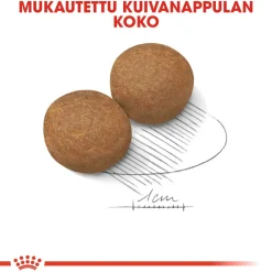 Royal Canin Koiran Kuivaruoka*Maxi Adult