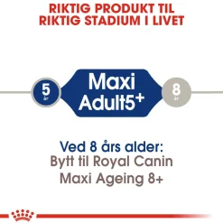 Royal Canin Koiran Kuivaruoka*Maxi Adult 5+ 2 x 15kg