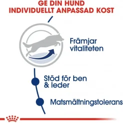 Royal Canin Koiran Kuivaruoka*Maxi Adult 5+ 2 x 15kg
